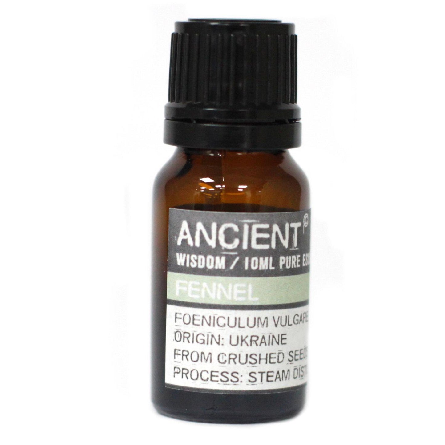 Fennel Essential Oil - 10ml