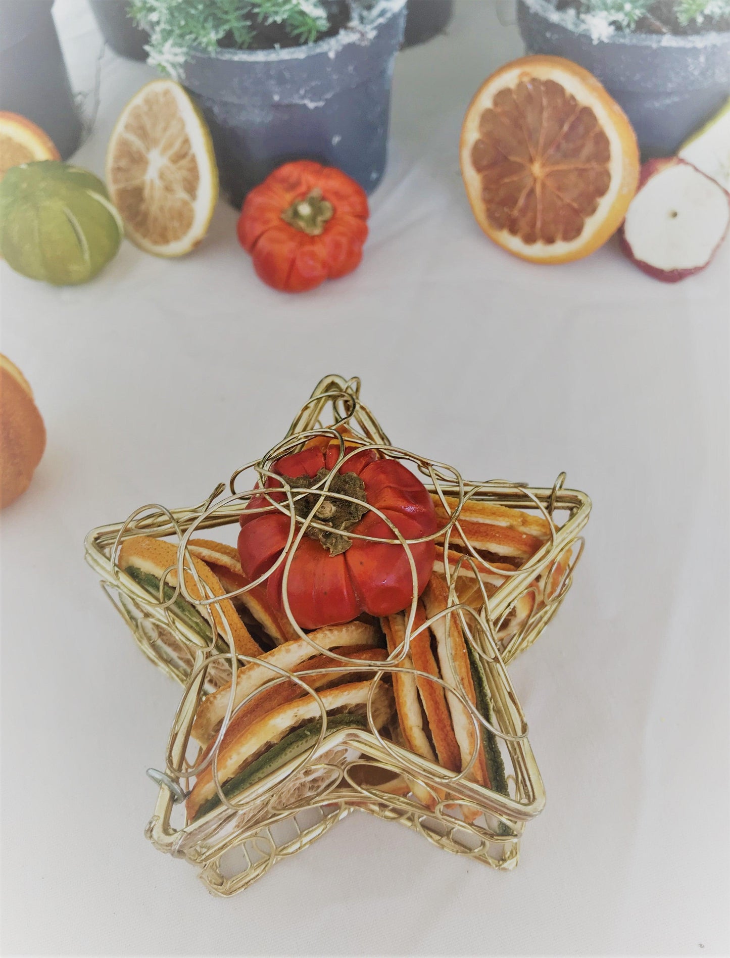 Christmas Table Star Cage