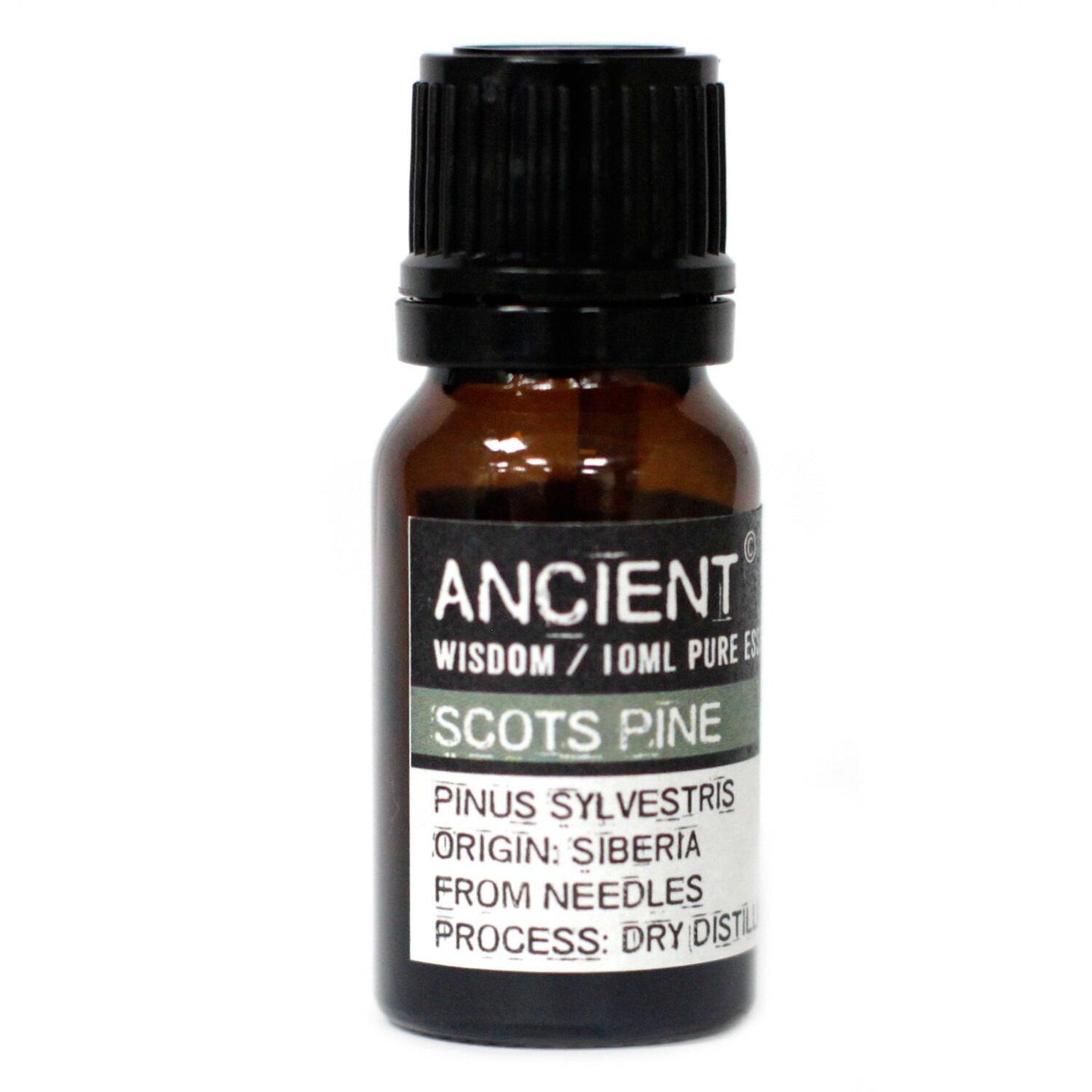 Scots Pine (Pine Sylvestris) Essential Oil - 10ml