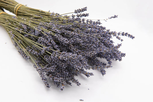 Dried Lavender Bunch