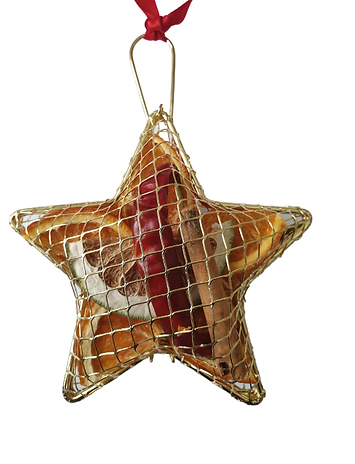 Christmas Hanging Metal Mesh Star Decoration